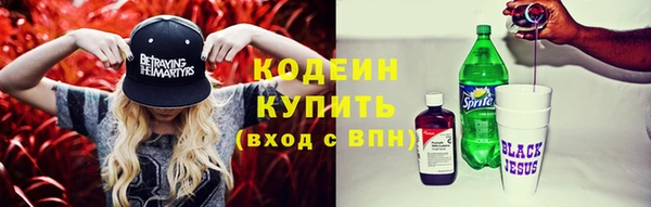 мдпв Бородино