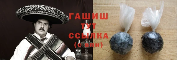 мдпв Бородино