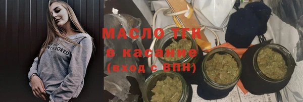 мдпв Бородино