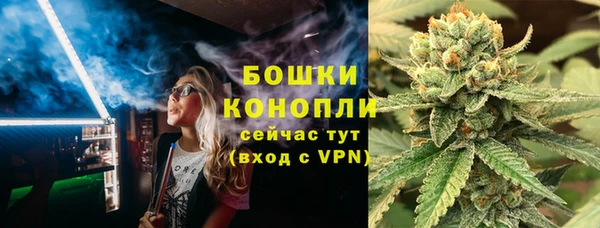 мдпв Бородино