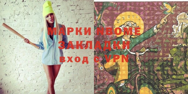мдпв Бородино