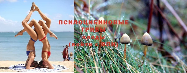дмт Бронницы
