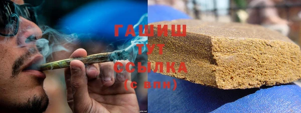 мдпв Бородино