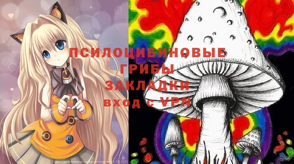 дмт Бронницы