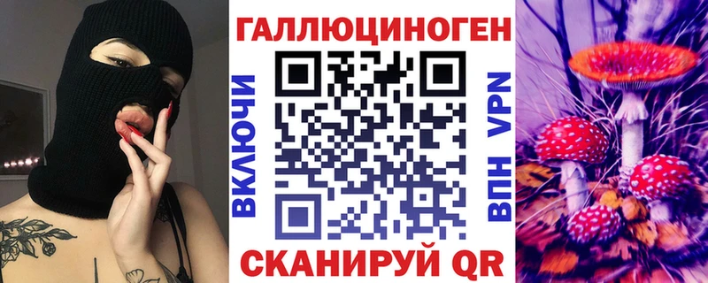 купить закладку  Петушки  Псилоцибиновые грибы ЛСД 